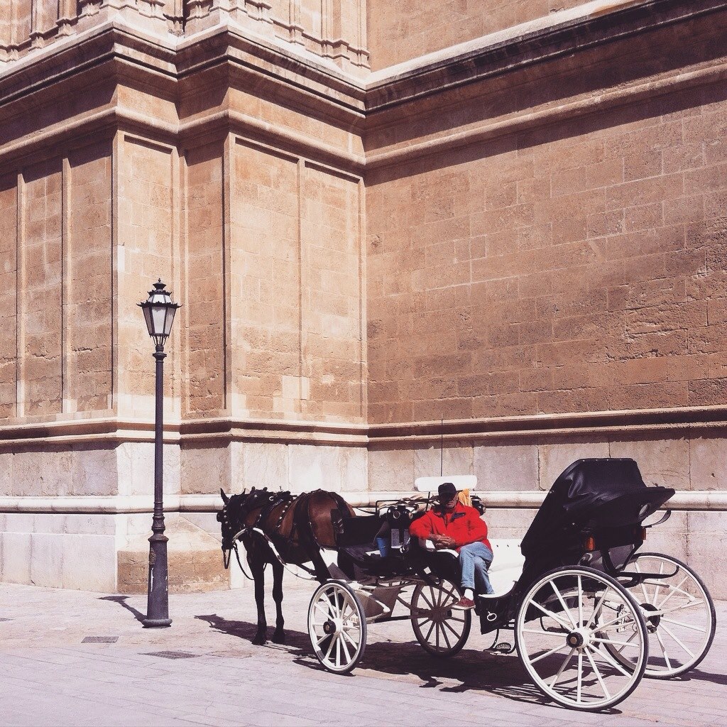 Man and horse carriage outside of Palma Cathedral, Mallorca