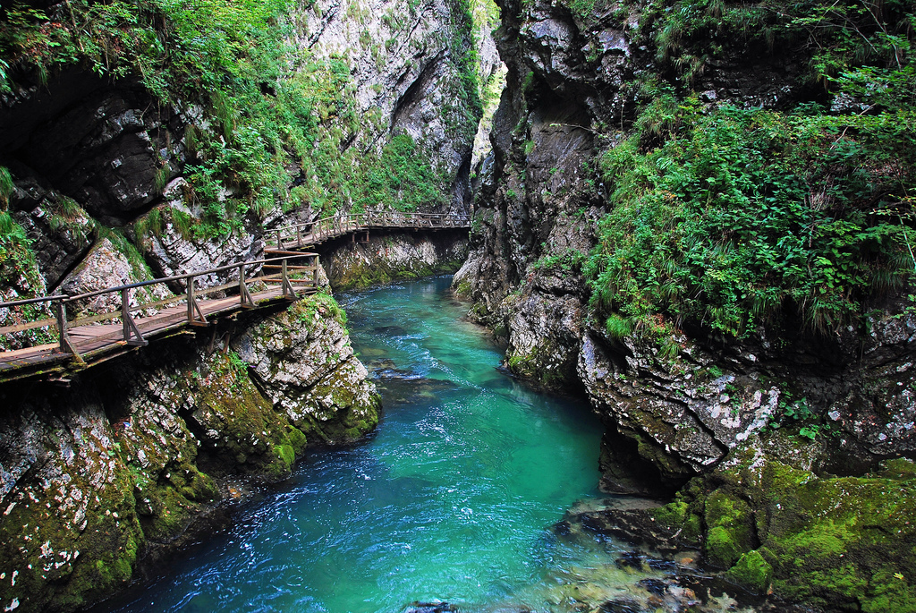 Vintgar Gorge Slovenia