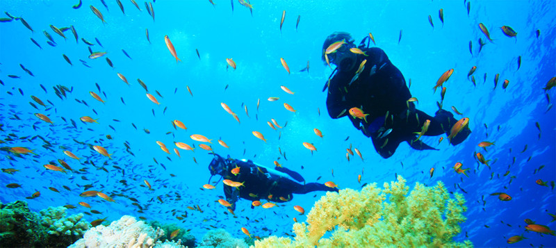 Diving in the marine world of Cape Verde