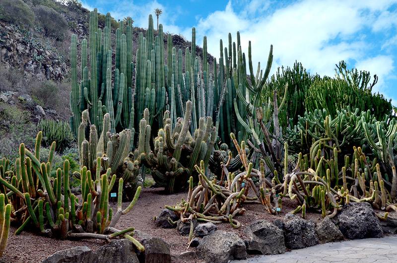 Top 10 Things To Do In The Canary Islands