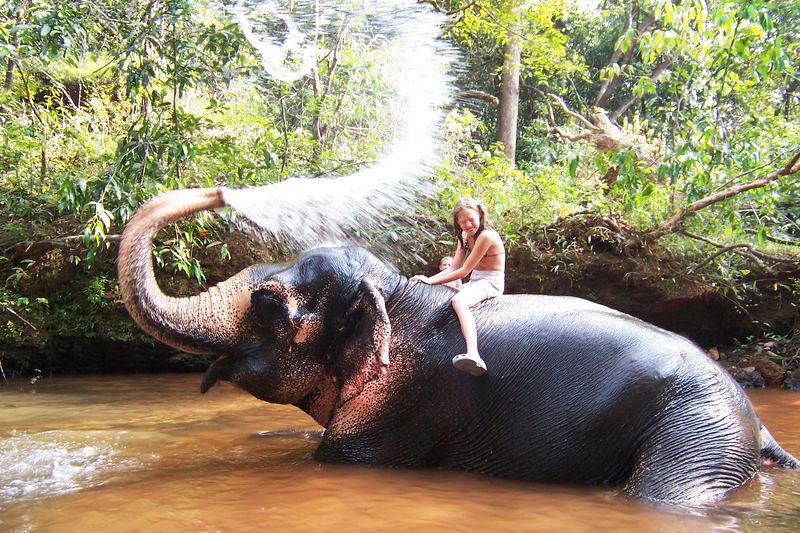 Elephant Ride Goa