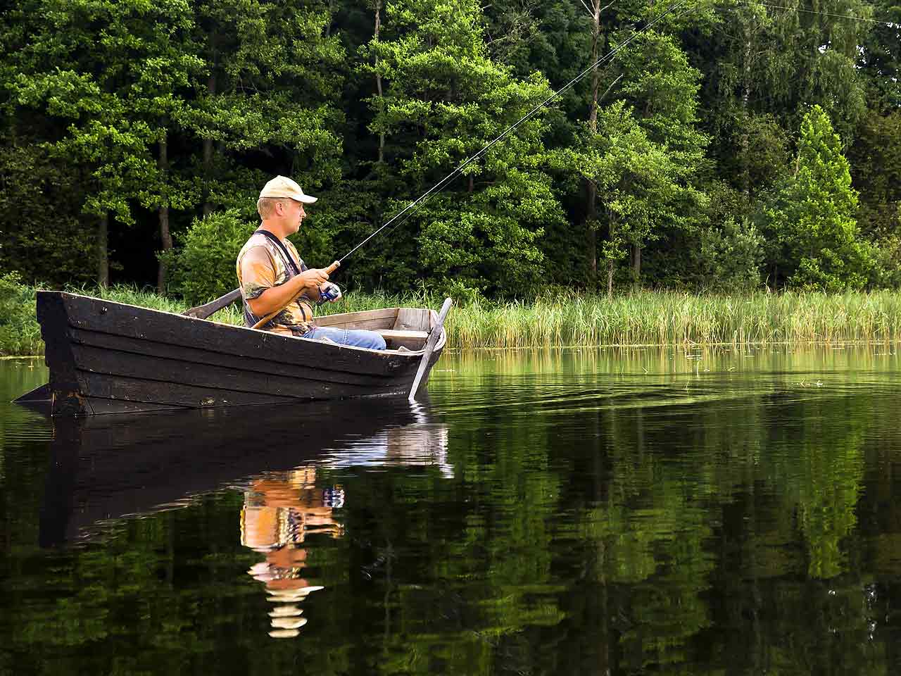 Bass fishing