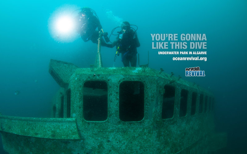 Diving at Ocean Revival in Portugal