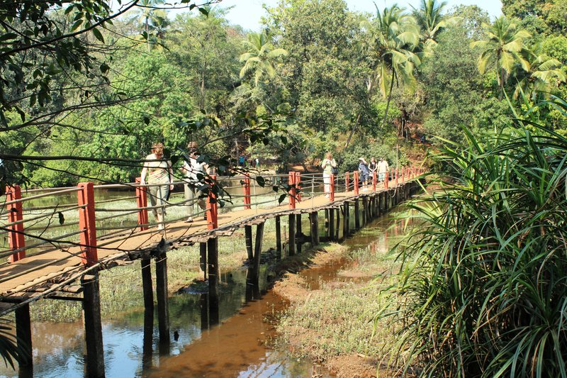 Spice Plantation Goa
