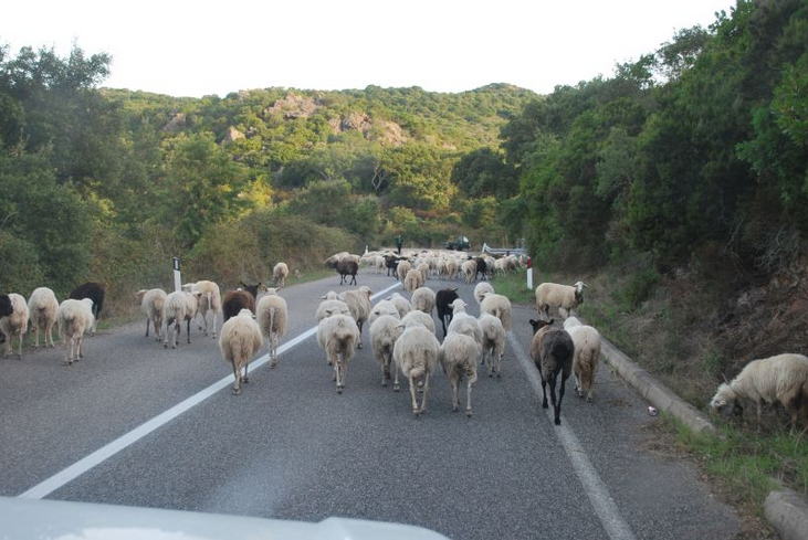 country roads Sardinia