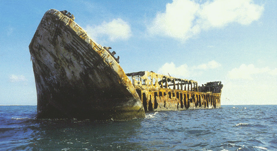 stern