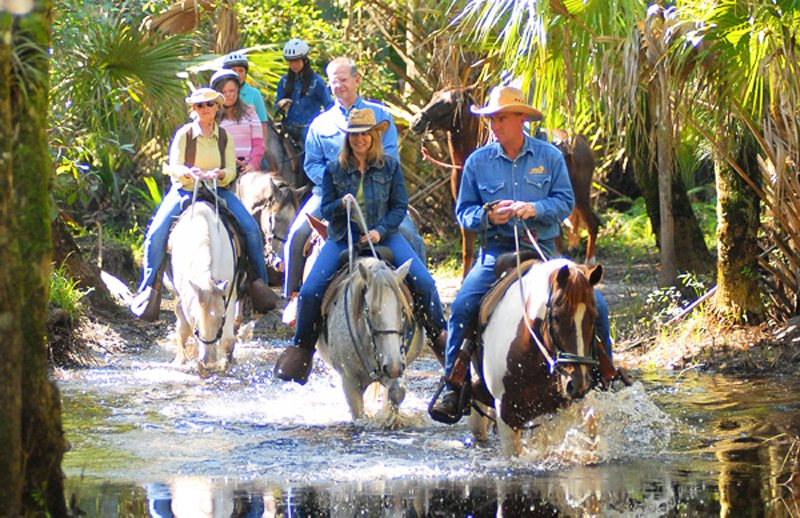 Florida Horseback Trails Nature Family Holiday