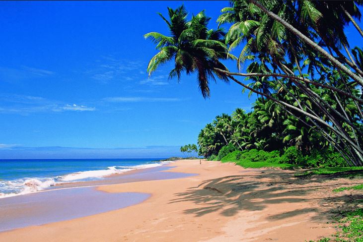 Goa beach