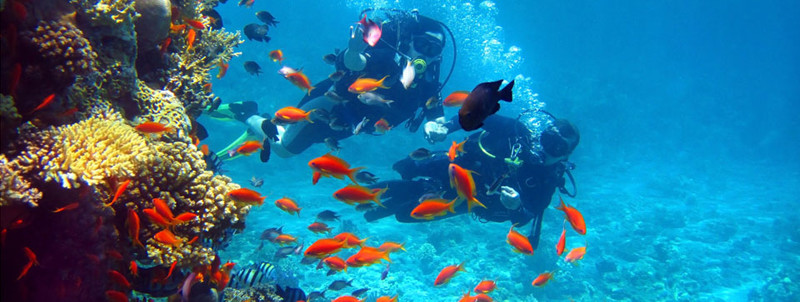 Top 10 Things To Do In The Canary Islands