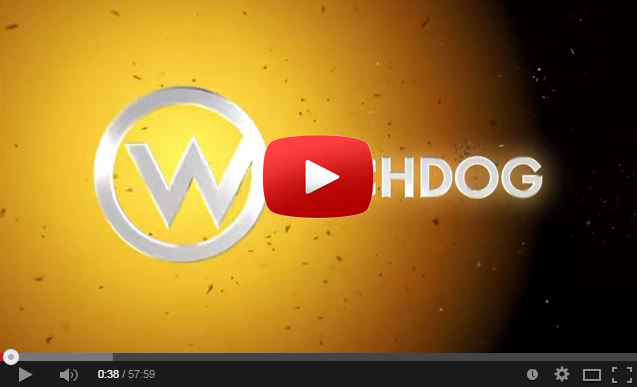 youtube watchdog newsletter